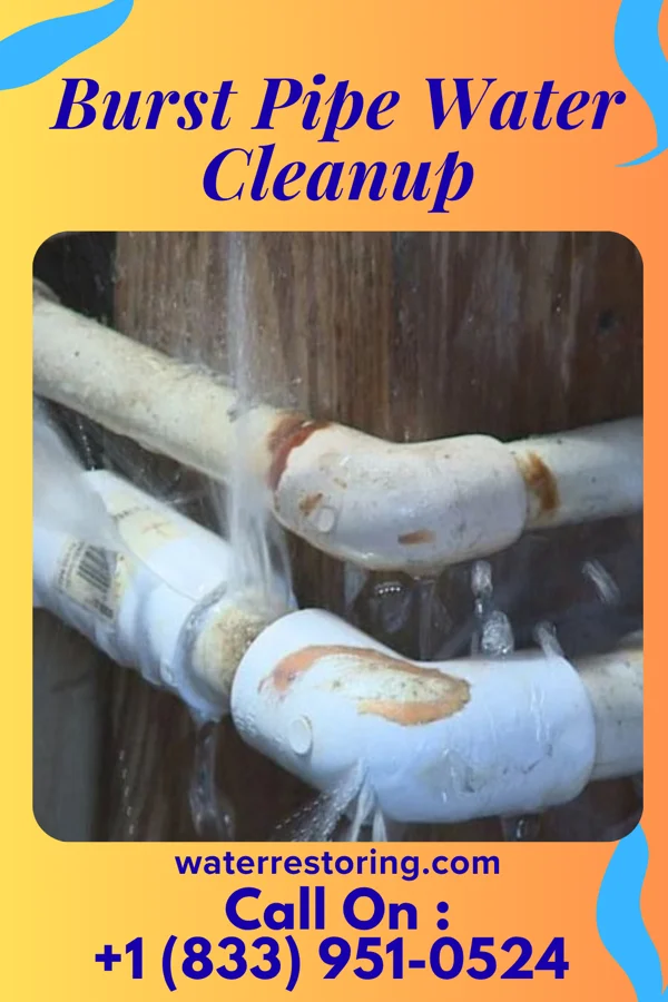 Burst Pipe Water Cleanup in LaCrosse, WA