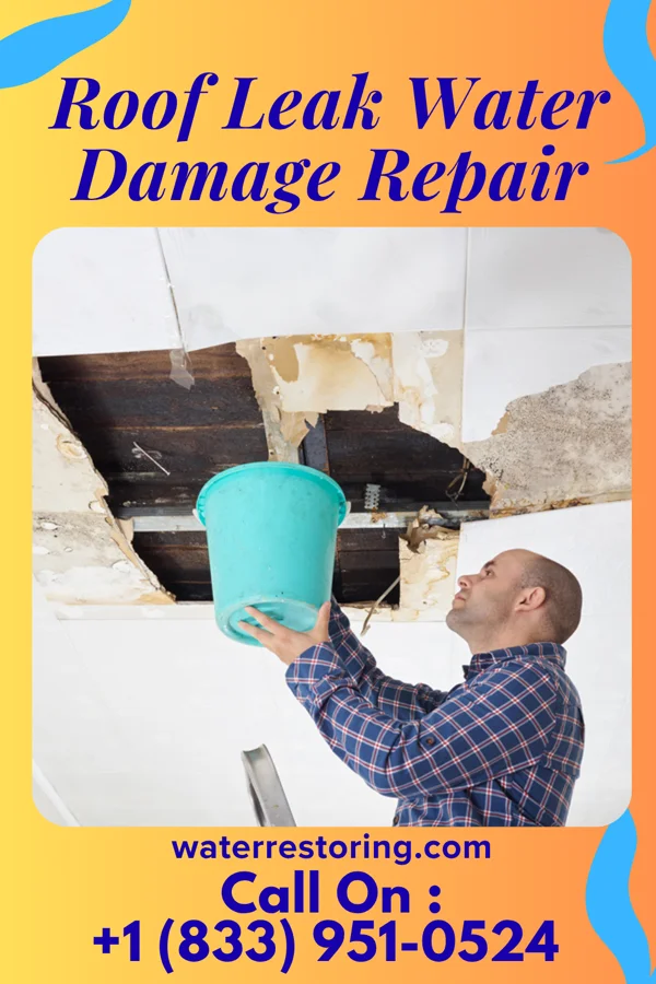 Roof Leak Water Damage Repair in LaCrosse, WA
