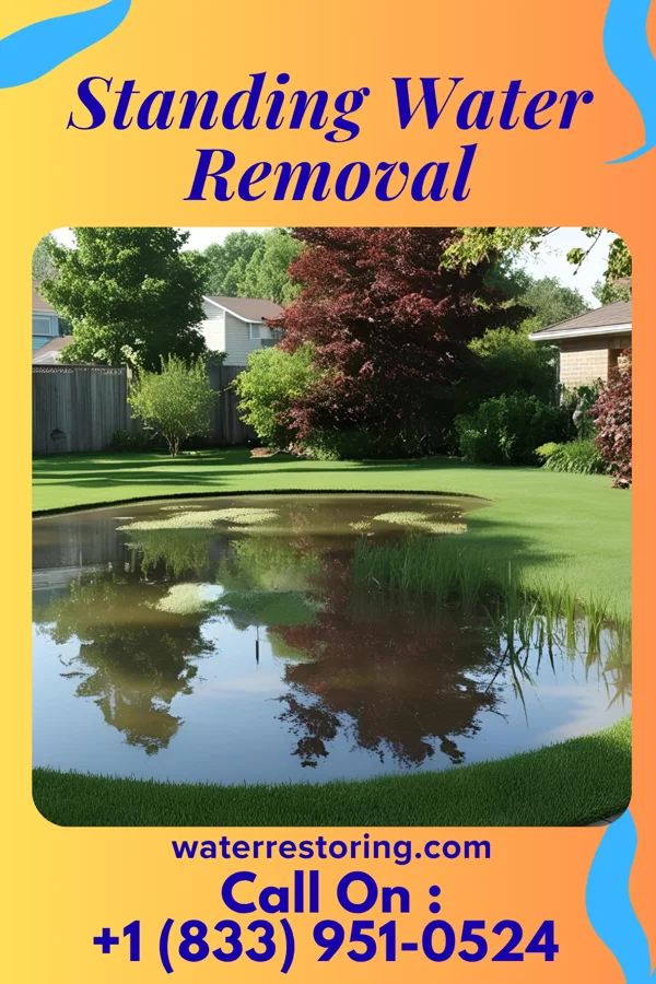 Standing Water Removal in LaCrosse, WA